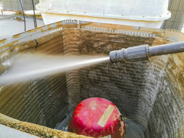Best Air Duct Mold Removal  in Biscayne Park, FL