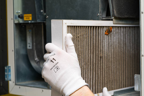 Best Local Air Duct Cleaning Services  in Biscayne Park, FL