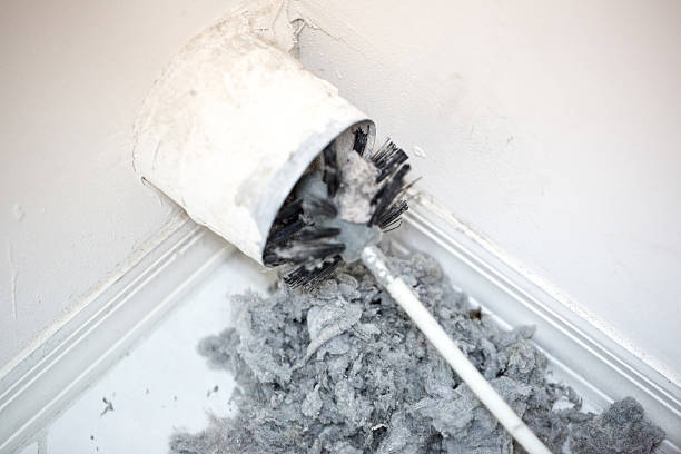 Best Professional Duct Cleaning Services  in Biscayne Park, FL